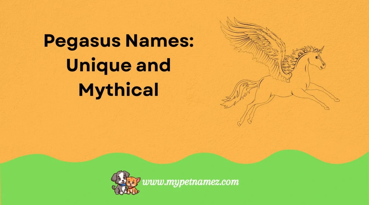 301 Pegasus Names: Unique and Mythical Name Ideas