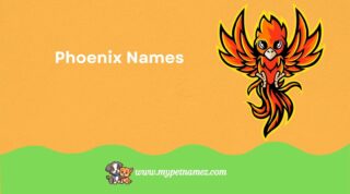 Best Phoenix Names: From Mythical to Cool and Funny