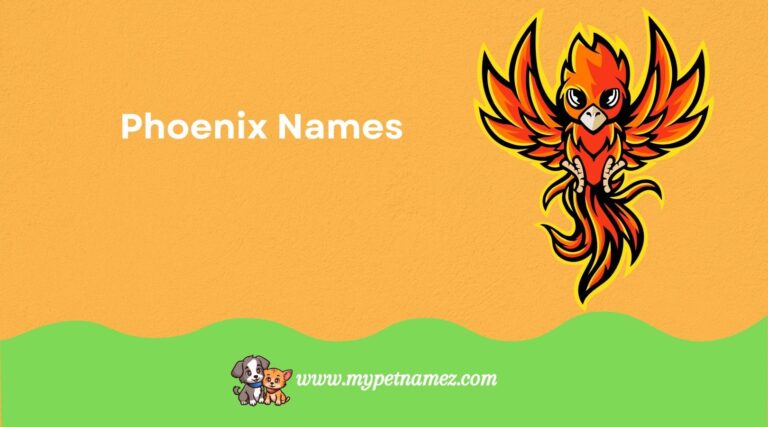 Best Phoenix Names: From Mythical to Cool and Funny