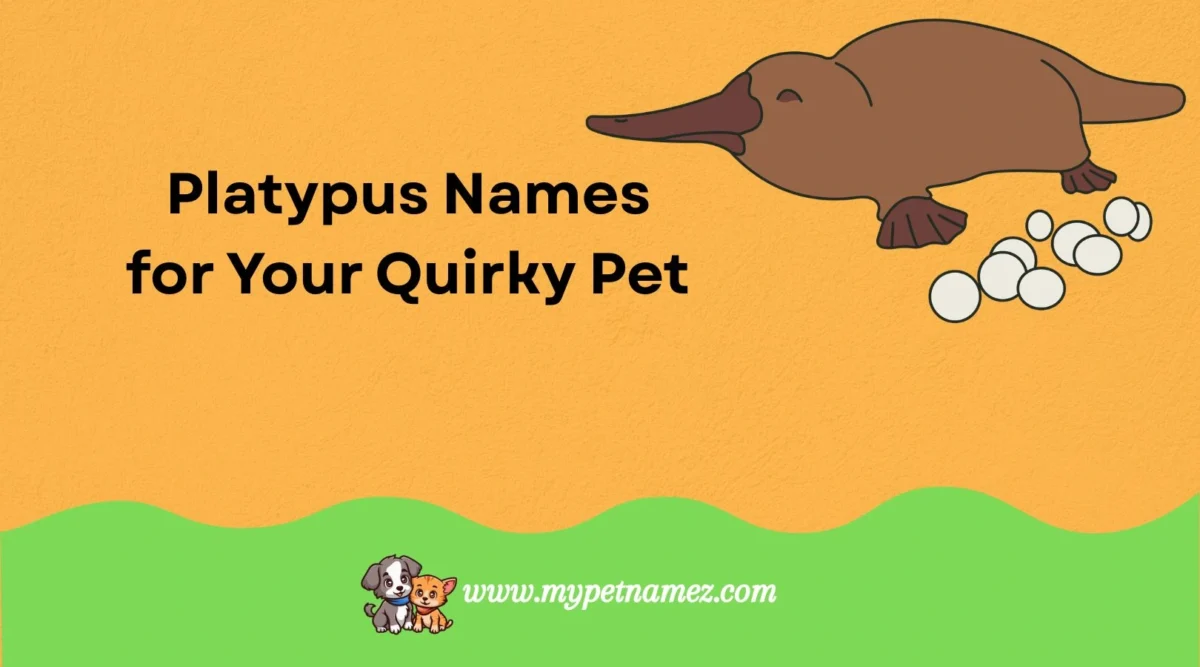 301 Catchy & Unique Platypus Names for Your Quirky Pet