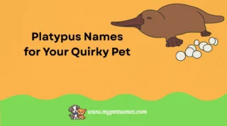 301 Catchy & Unique Platypus Names for Your Quirky Pet