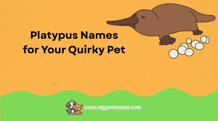 301 Catchy & Unique Platypus Names for Your Quirky Pet