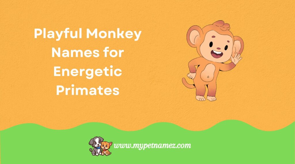 Playful Monkey Names for Energetic Primates