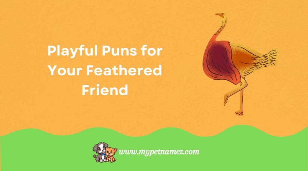Playful Puns for Your Feathered Friend