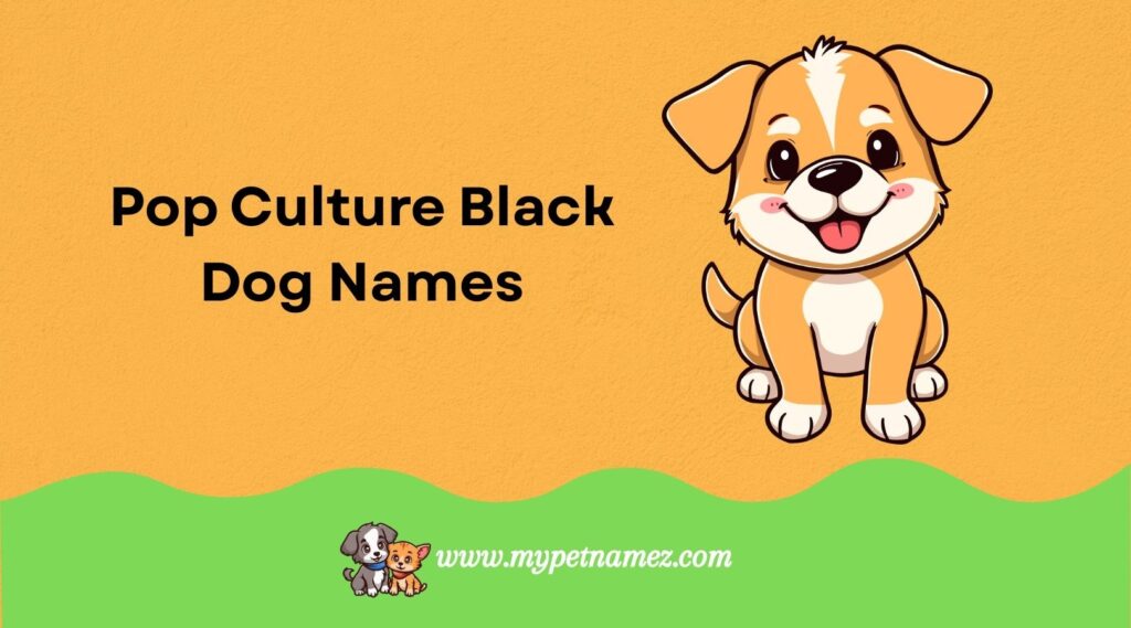 Pop Culture Black Dog Names