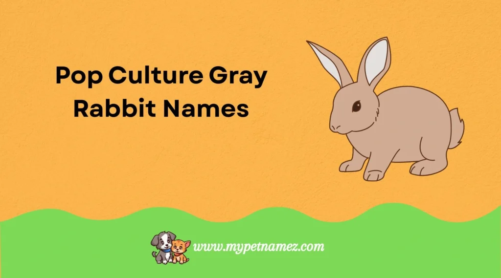 Pop Culture Gray Rabbit Names