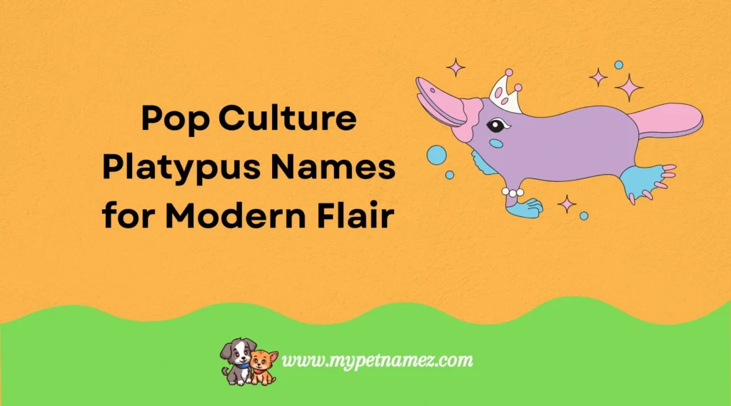 Pop Culture Platypus Names for Modern Flair