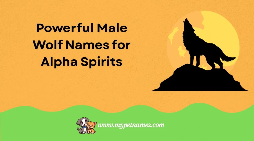 Powerful Male Wolf Names for Alpha Spirits