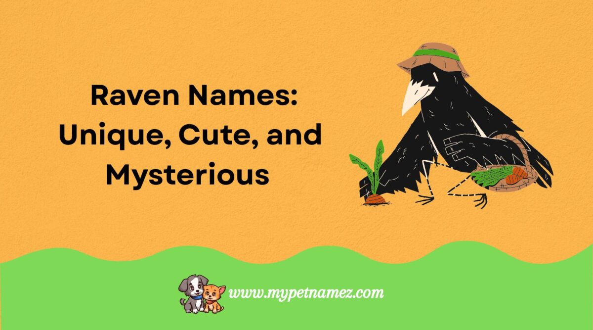 301 Best Raven Names: Unique, Cute, and Mysterious Ideas