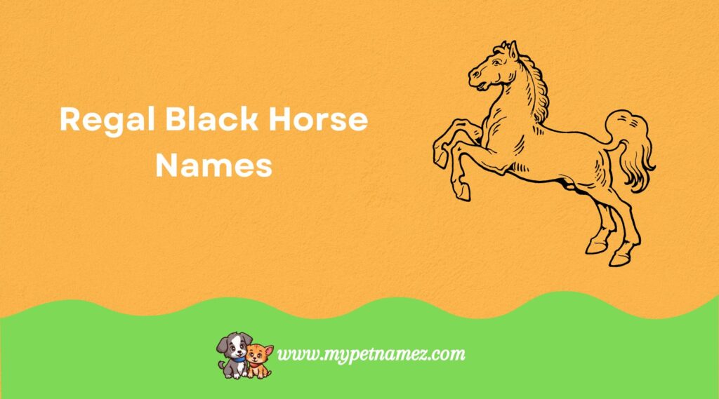 Regal Black Horse Names