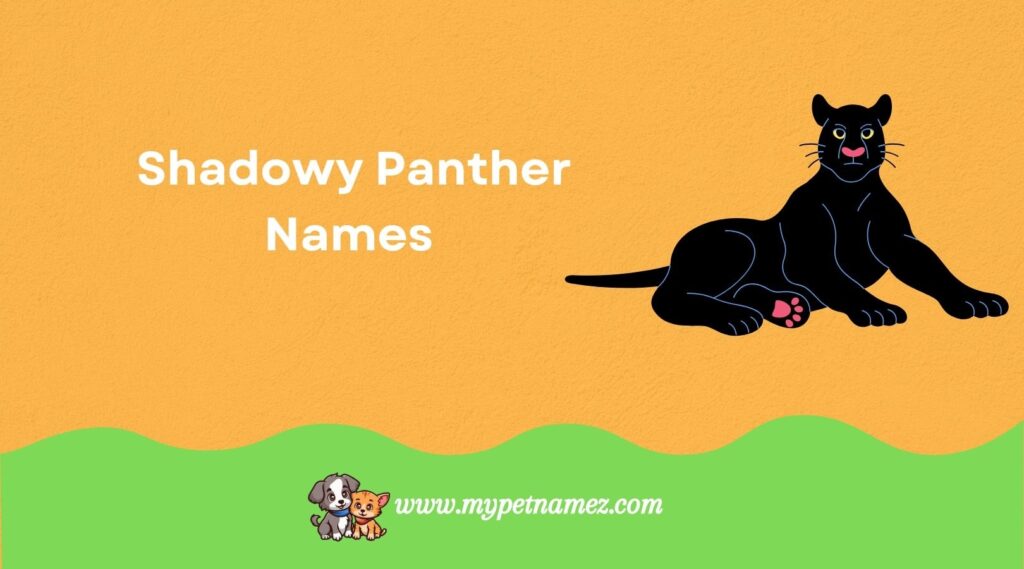Shadowy Panther Names