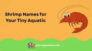 301 Shrimp Names for Your Tiny Aquatic Friend