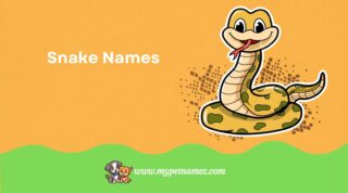 301 Cool and Funny Snake Names [Best Ideas]