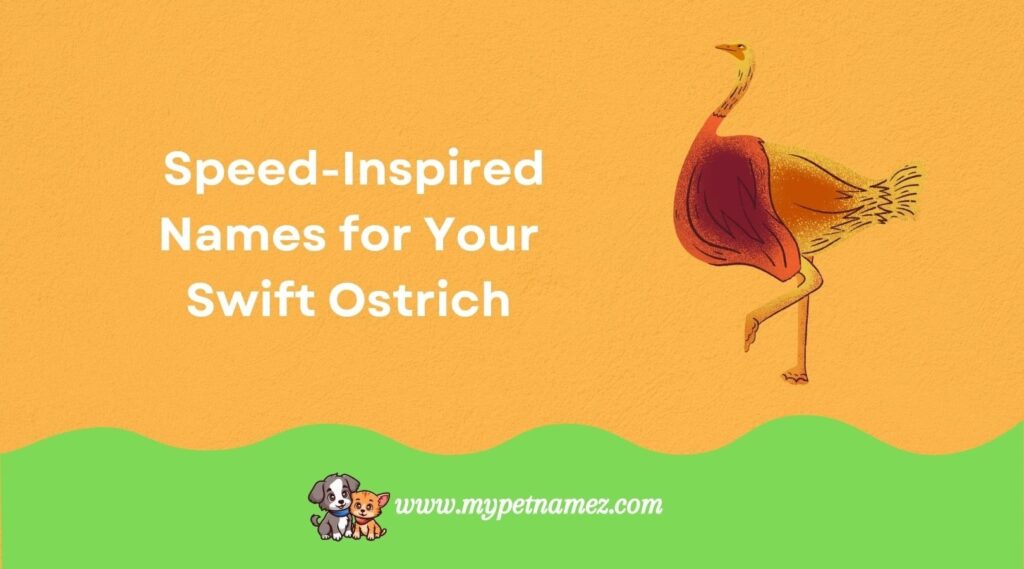 Speed-Inspired Names for Your Swift Ostrich