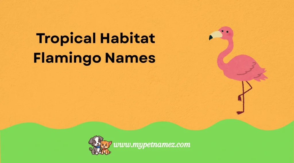 Tropical Habitat Flamingo Names