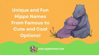 301 Unique and Fun Hippo Names From Famous to Cute and Cool Options!