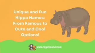 Top 301+ Unique and Fun Hippo Names: From Famous to Cute and Cool Options!