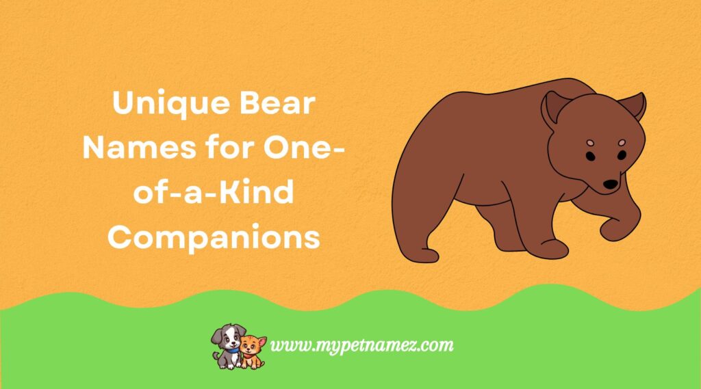 Unique Bear Names for One-of-a-Kind Companions