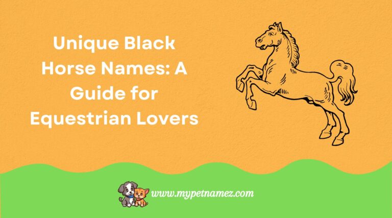 301 Unique Black Horse Names: A Guide for Equestrian Lovers