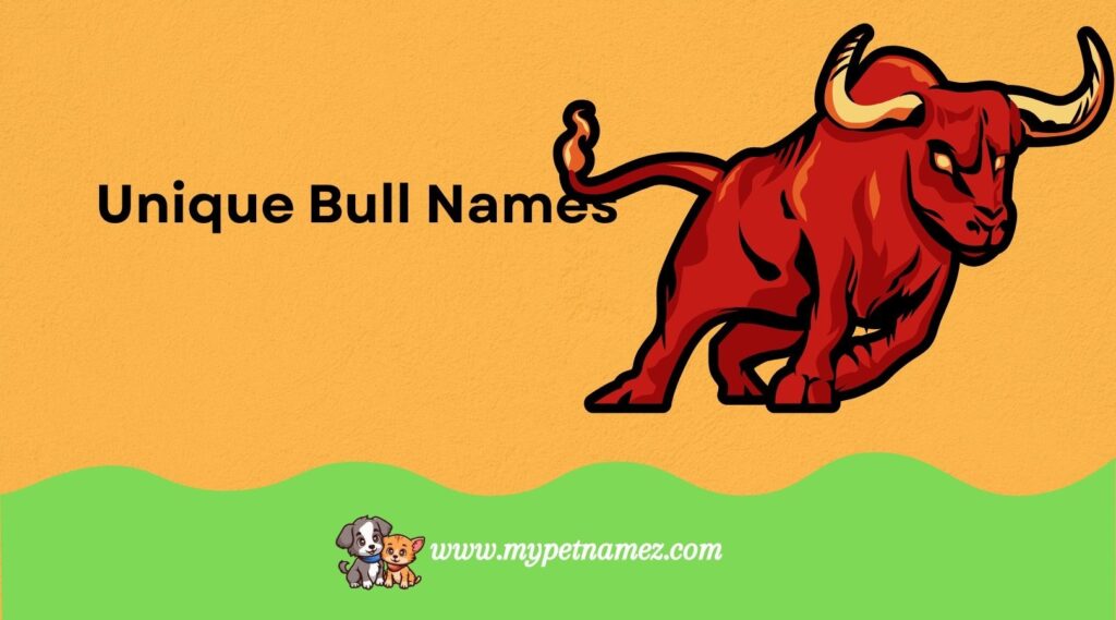 Unique Bull Names