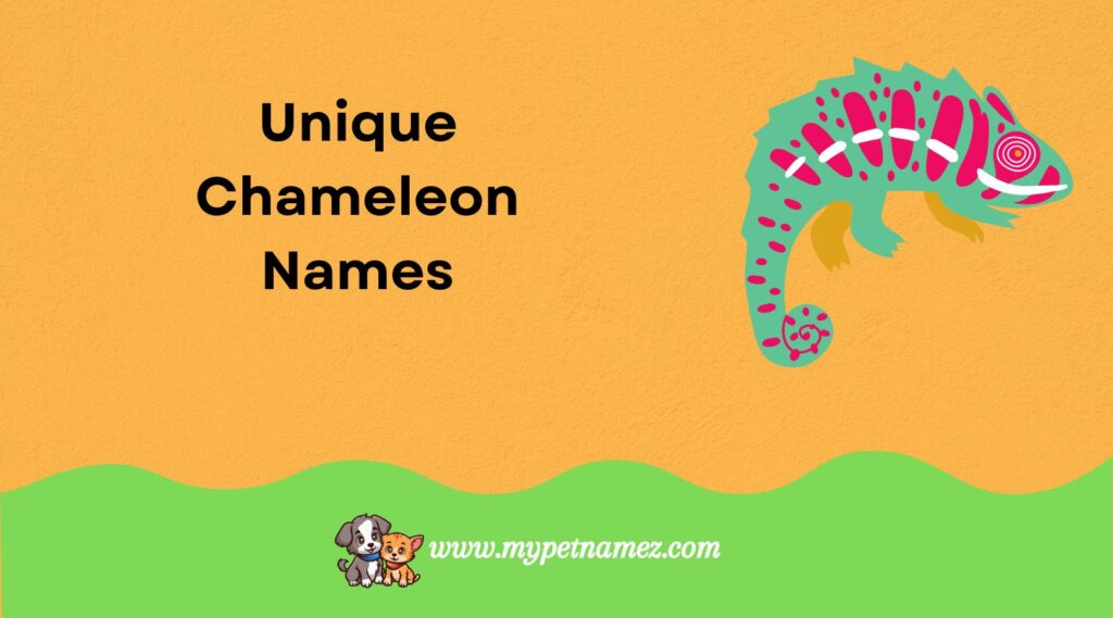 Unique Chameleon Names