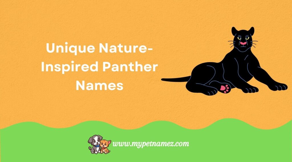 Unique Nature-Inspired Panther Names