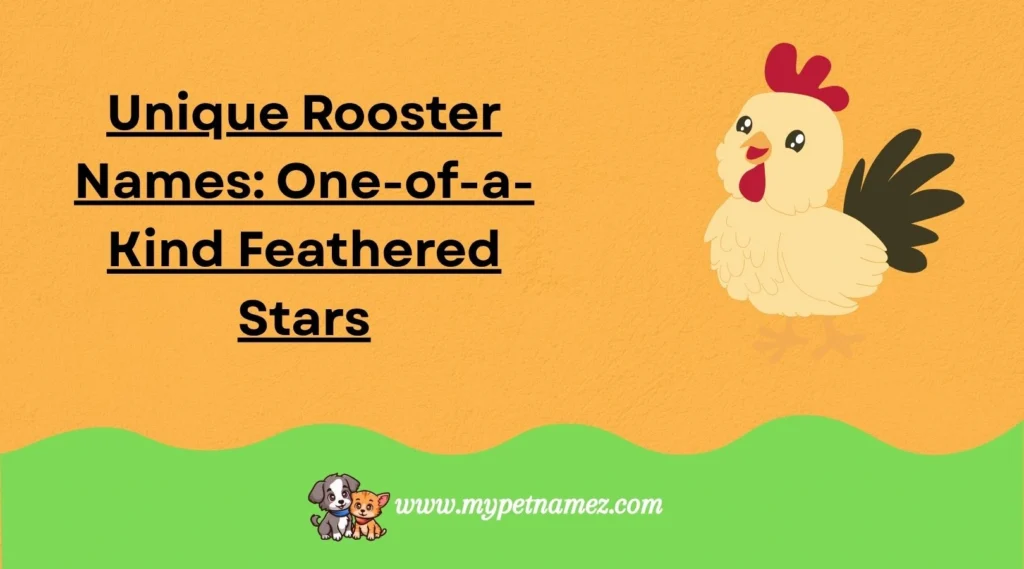 Unique Rooster Names: One-of-a-Kind Feathered Stars