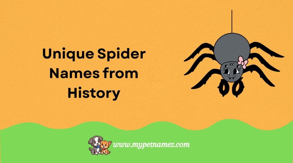 Unique Spider Names from History