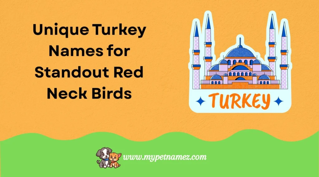 Unique Turkey Names for Standout Red Neck Birds
