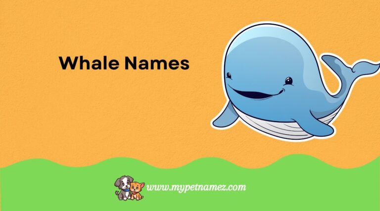 Whale Names: Find the Perfect Name for Your Ocean Giant