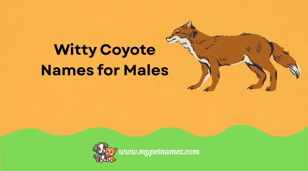 Witty Coyote Names for Males