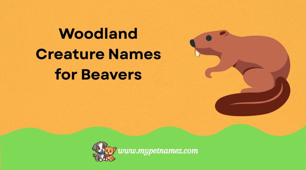 Woodland Creature Names for Beavers