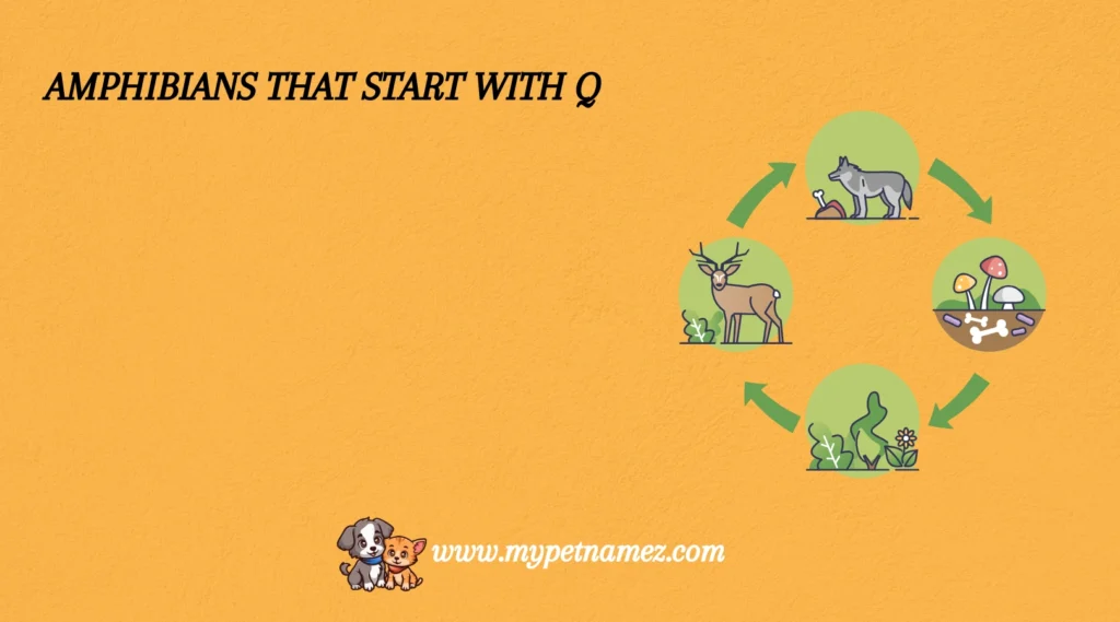 Amphibians That Start with Q