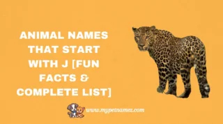 301 Animal Names That Start with J [Fun Facts & Complete List]