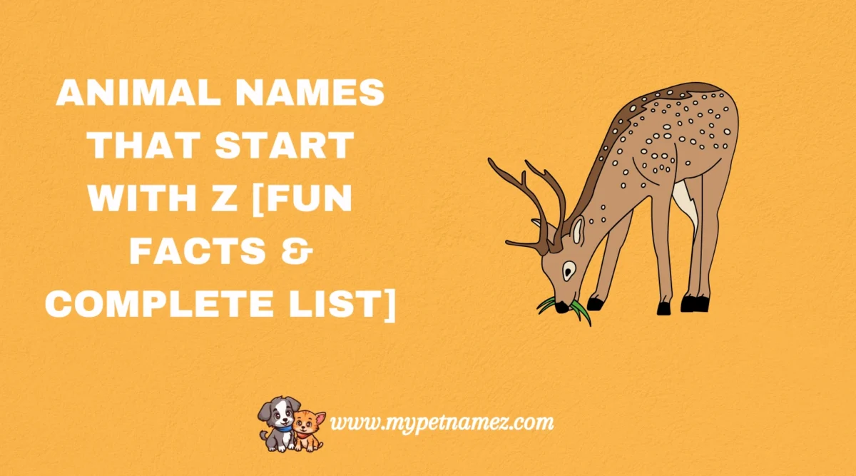301 Animal Names That Start with Z [Fun Facts & Complete List]