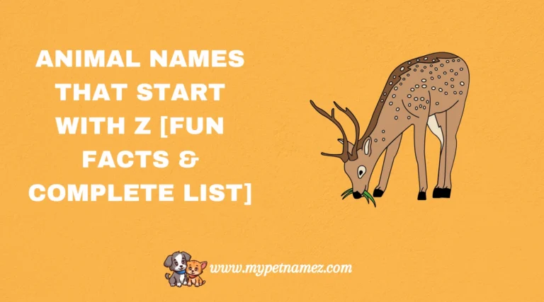 301 Animal Names That Start with Z [Fun Facts & Complete List]