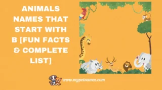 301 Animals Names That Start with B [Fun Facts & Complete List]