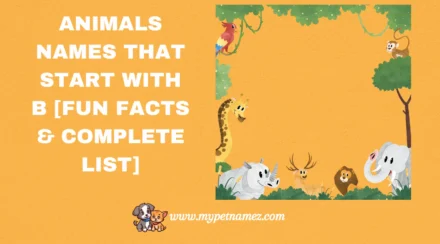 301 Animals Names That Start with B [Fun Facts & Complete List]