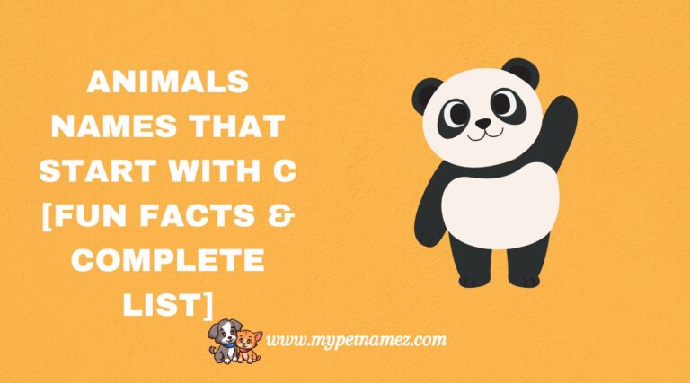 301 Animals Names That Start with C [Fun Facts & Complete List]