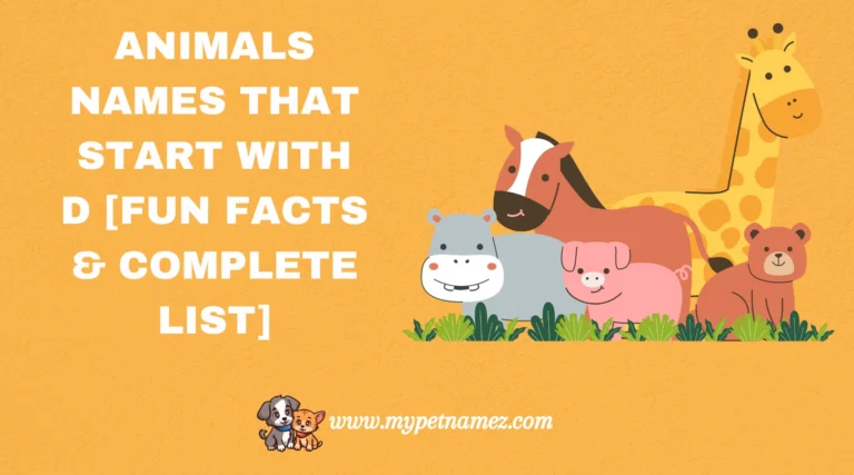 301 Animals Names That Start with D [Fun Facts & Complete List]