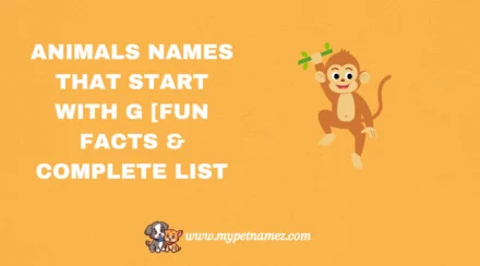301 Animals Names That Start with G [Fun Facts & Complete List