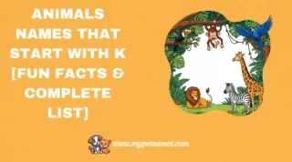 301 Animals Names That Start with K [Fun Facts & Complete List]