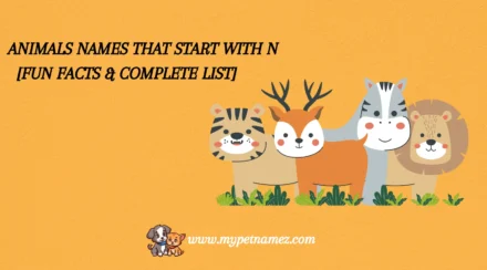 🦋 301 Animals Names That Start with N [Fun Facts & Complete List]