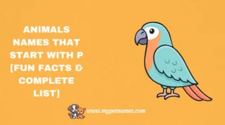 301 Animals Names That Start with P [Fun Facts & Complete List]