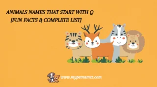 301 Animals Names That Start with Q [Fun Facts & Complete List]