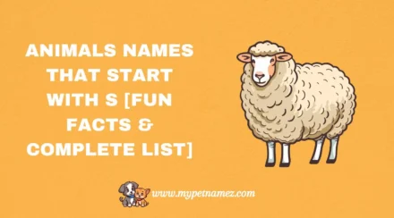 301 Animals Names That Start with S [Fun Facts & Complete List]