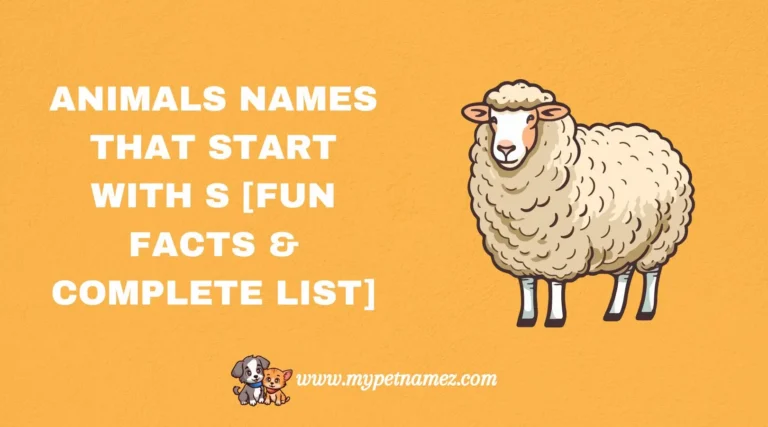 301 Animals Names That Start with S [Fun Facts & Complete List]