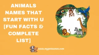 301 Animals Names That Start with U [Fun Facts & Complete List]
