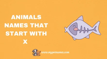 301 Animals Names That Start with X [Fun Facts & Complete List]