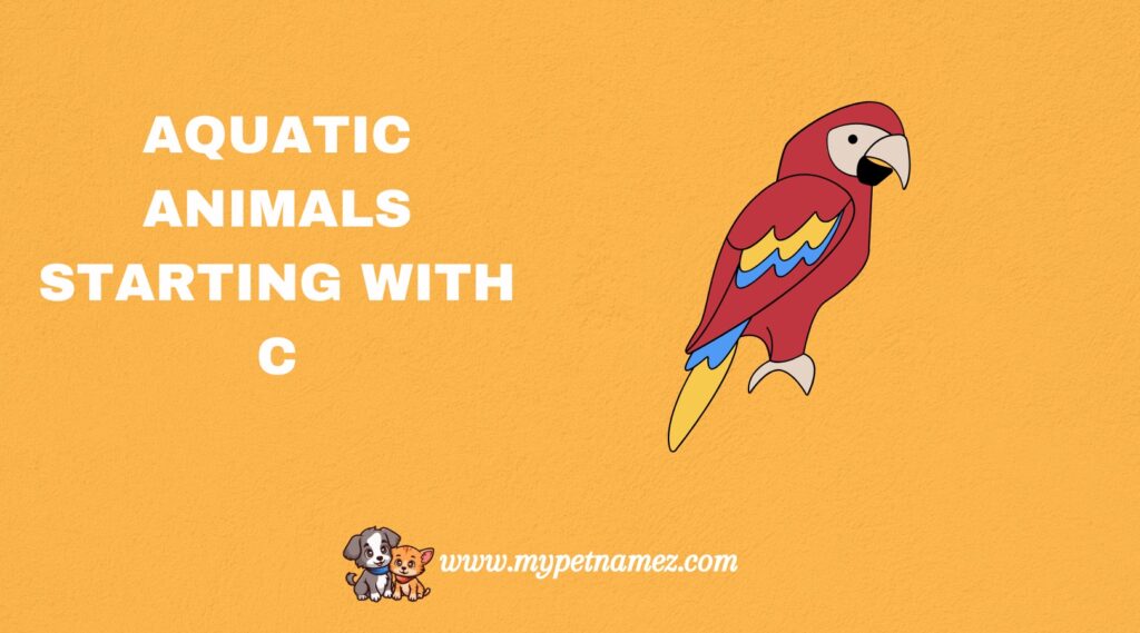 Aquatic Animals Starting with C